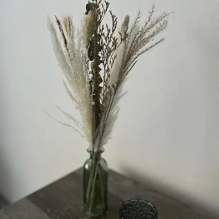 Akri * 리브니츠 담가르텐